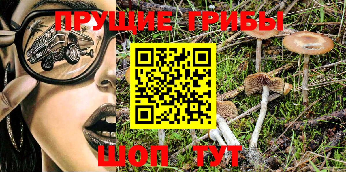 Черемхово  продажа наркотиков  Вход с VPN  Псилоцибиновые грибы MAGIC MUSHROOMS 