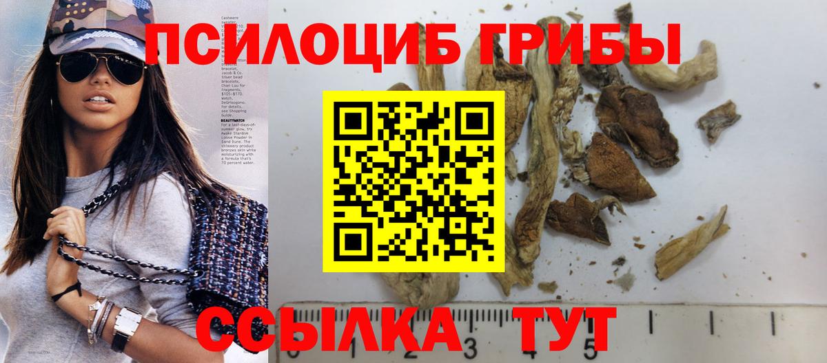 Псилоцибиновые грибы мицелий Черемхово